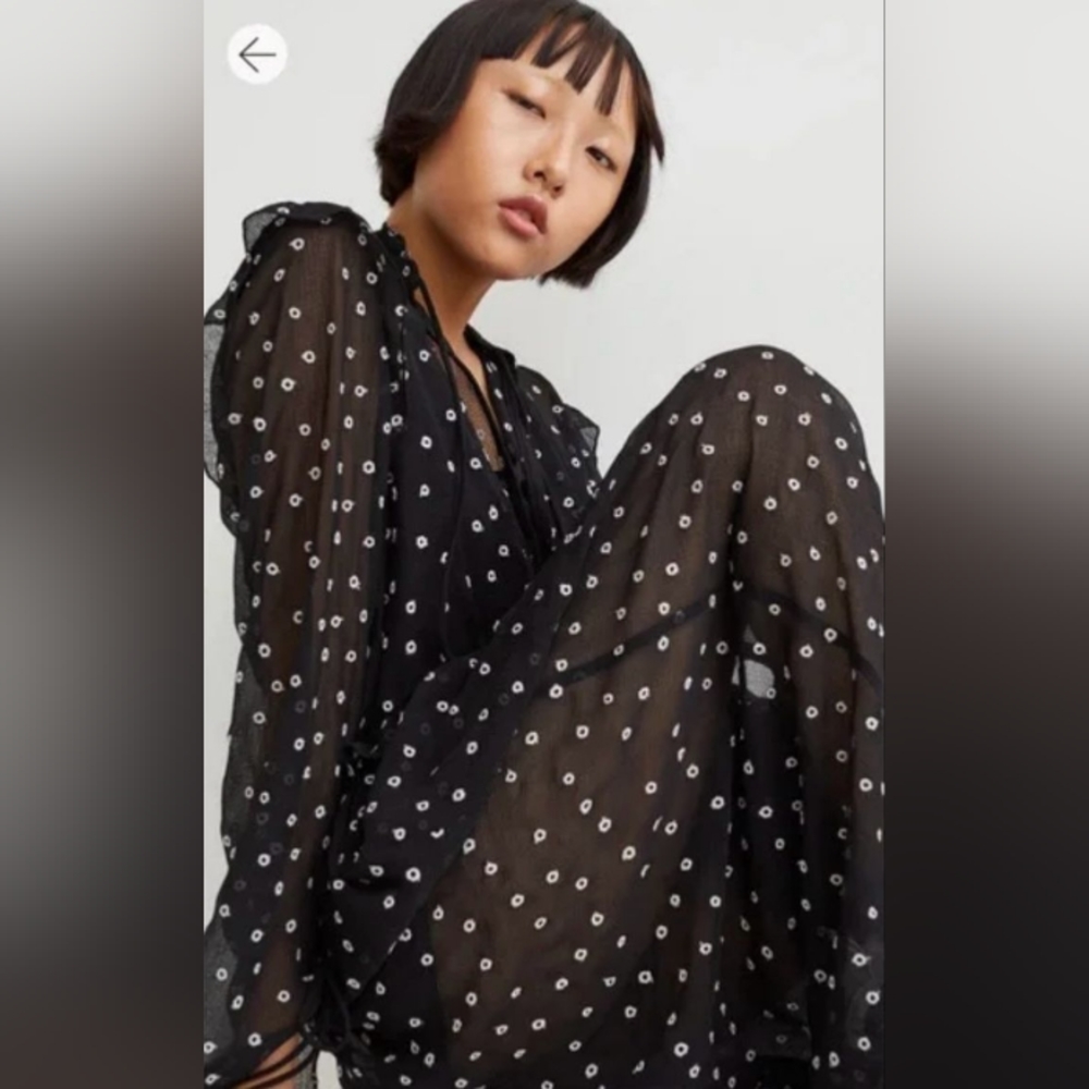 NWT H&M EMBROIDERED DRESS BLACK / DOTTED - Picture 13 of 15